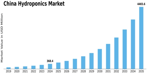 China Hydroponics Market Size