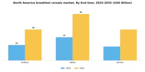 North America Breakfast Cereals Market Segment Image 1