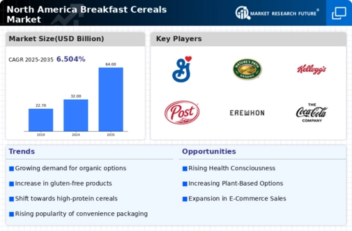 North America Breakfast Cereals Market Infographic