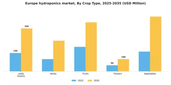 Europe Hydroponics Market Segment Image 0