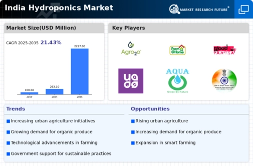 India Hydroponics Market Infographic