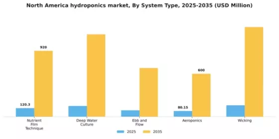 North America Hydroponics Market Segment Image 3