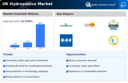 UK Hydroponics Market Infographic