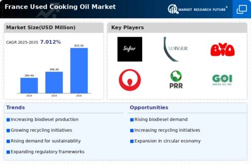 France Used Cooking Oil Market Infographic