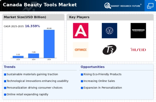 Canada Beauty Tools Market Infographic