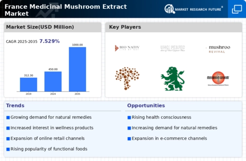 France Medicinal Mushroom Extract Market Infographic
