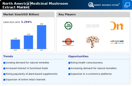 North America Medicinal Mushroom Extract Market Infographic