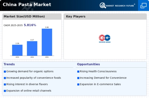 China Pasta Market Infographic