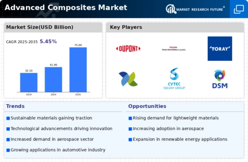 Advanced Composites Market Infographic