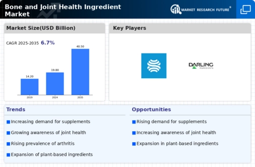 Bone Joint Health Ingredients Market Infographic