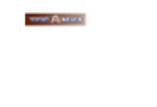 India Cathode Materials Market key player