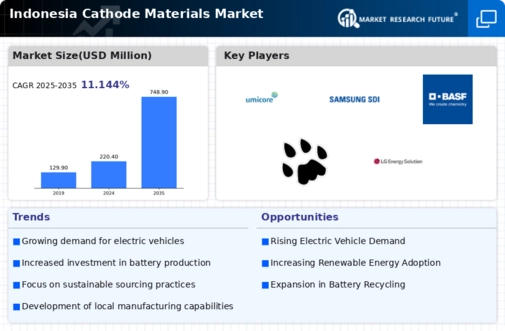 Indonesia Cathode Materials Market Infographic