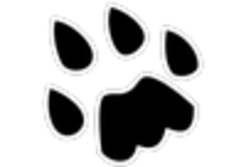 Indonesia Cathode Materials Market key player