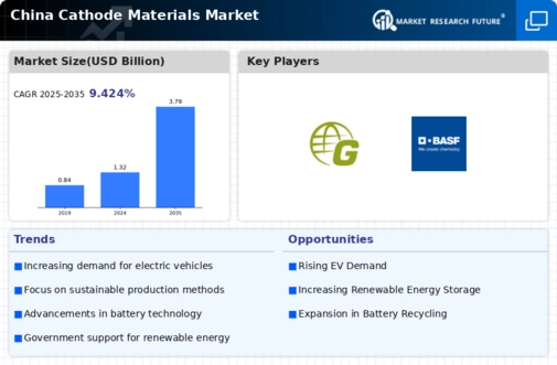 China Cathode Materials Market Infographic