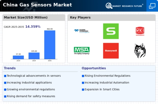 China Gas Sensors Market Infographic