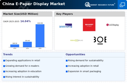 China E Paper Display Market Infographic
