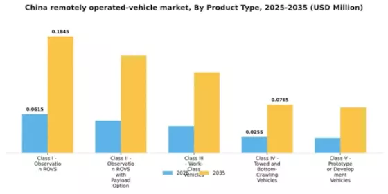 China Remotely Operated Vehicle Market Segment Image 2