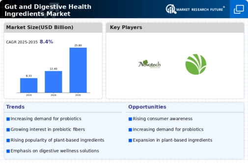 Gut Digestive Health Ingredients Market Infographic