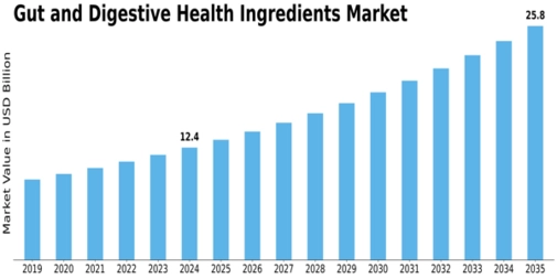 Gut Digestive Health Ingredients Market Size