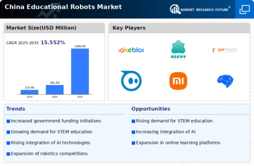 China Educational Robots Market Infographic
