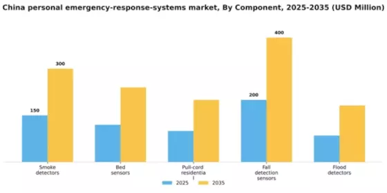 China Personal Emergency Response Systems Market Segment Image 0