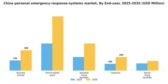 China Personal Emergency Response Systems Market Segment Image 1