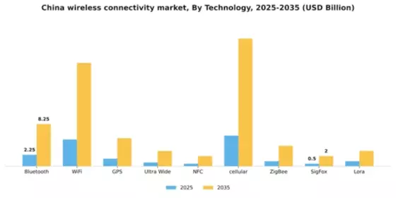 China Wireless Connectivity Market Segment Image 1