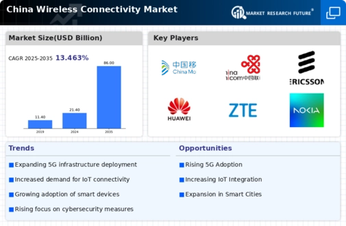 China Wireless Connectivity Market Infographic