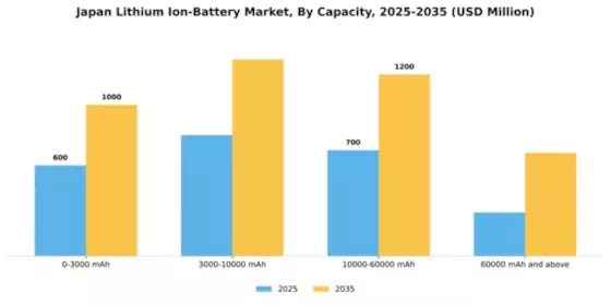 Japan Lithium Ion Battery Market Segment Image 0