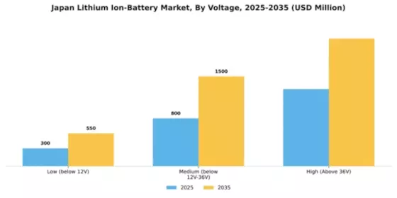 Japan Lithium Ion Battery Market Segment Image 3