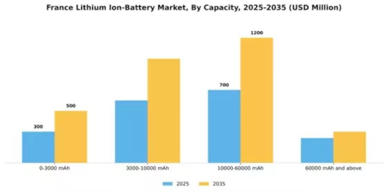 France Lithium Ion Battery Market Segment Image 0