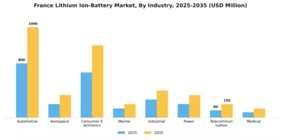 France Lithium Ion Battery Market Segment Image 1