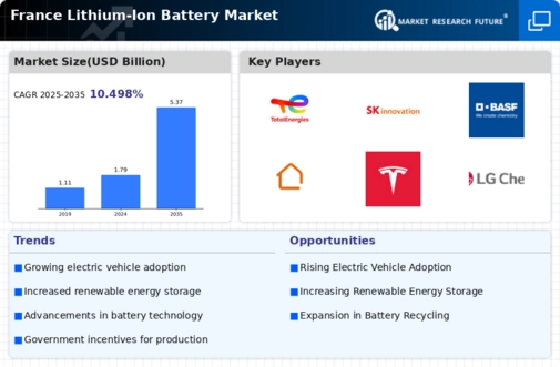 France Lithium Ion Battery Market Infographic