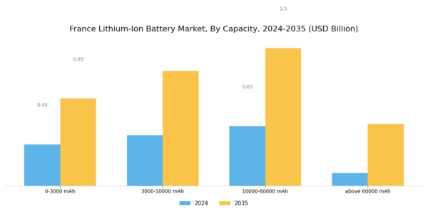 France Lithium Ion Battery Market Segment Image 1