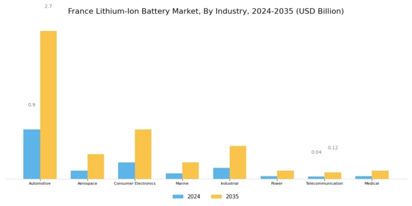 France Lithium Ion Battery Market Segment Image 3