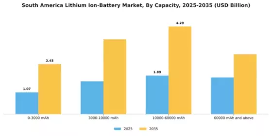 South America Lithium Ion Battery Market Segment Image 0