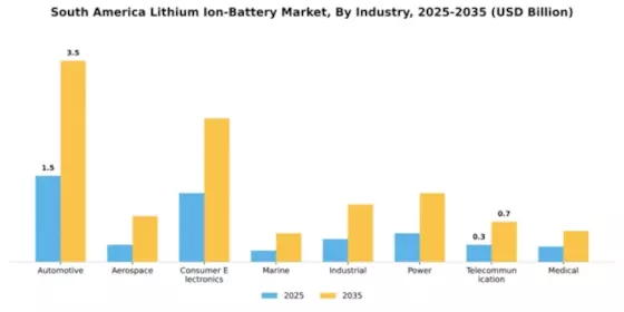South America Lithium Ion Battery Market Segment Image 1