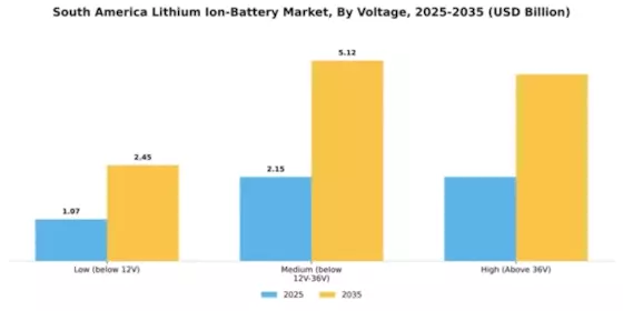 South America Lithium Ion Battery Market Segment Image 3