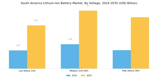 South America Lithium Ion Battery Market Segment Image 2