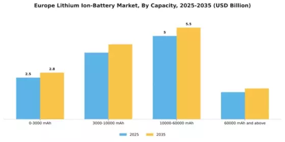 Europe Lithium Ion Battery Market Segment Image 0
