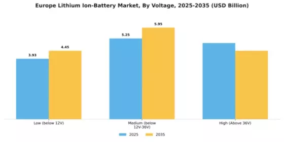 Europe Lithium Ion Battery Market Segment Image 3