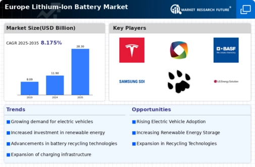 Europe Lithium Ion Battery Market Infographic