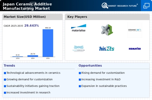Japan Ceramic Additive Manufacturing Market Infographic