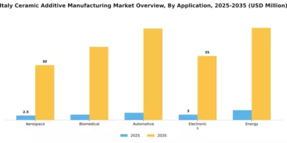 Italy Ceramic Additive Manufacturing Market Segment Image 0