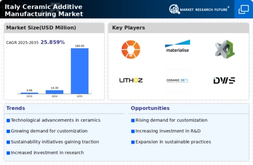 Italy Ceramic Additive Manufacturing Market Infographic