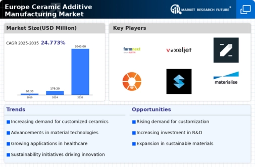 Europe Ceramic Additive Manufacturing Market Infographic