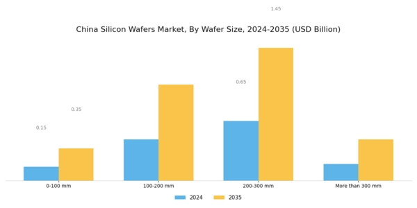 China Silicon Wafers Market Segment Image 0