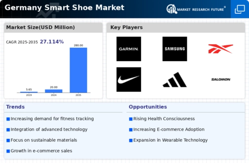 Germany Smart Shoe Market Infographic