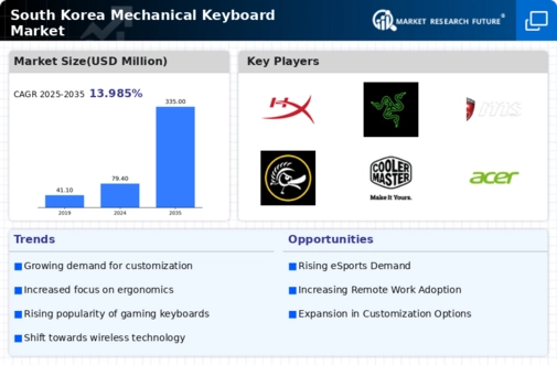 South Korea Mechanical Keyboard Market Infographic