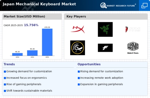 Japan Mechanical Keyboard Market Infographic